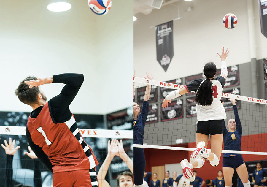 Collage image of male & female volleyball players spiking the ball.